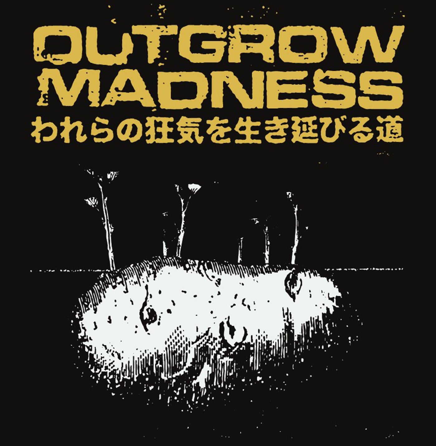 Outgrow Madness – To Outgrow Our Madness [Second pressing 12"]
