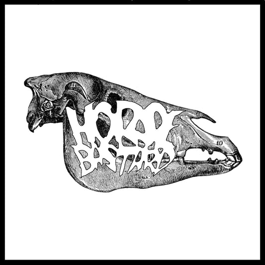 Horsebastard / Retortion Terror - Split 7"
